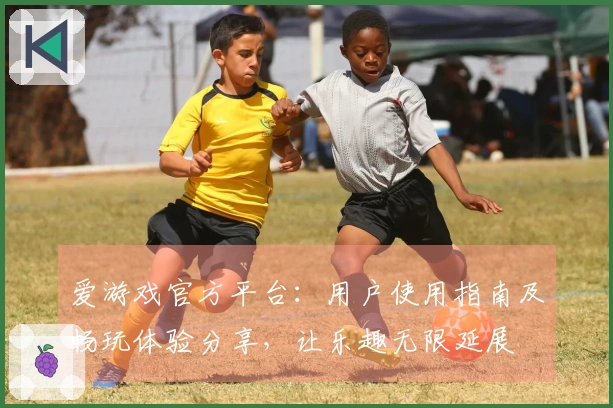 爱游戏官方平台：用户使用指南及畅玩体验分享，让乐趣无限延展