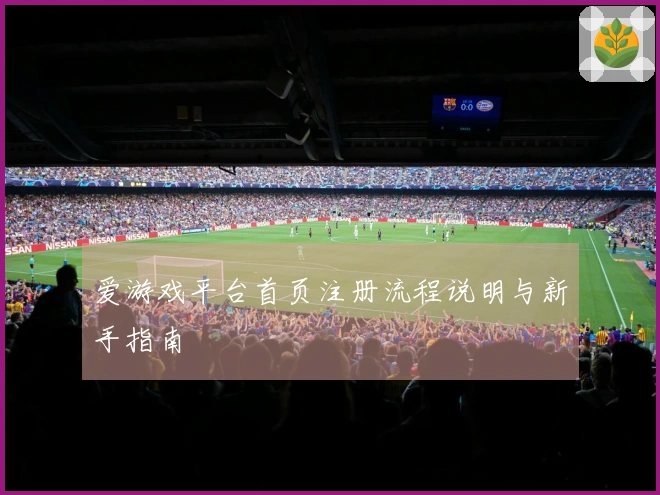 爱游戏平台首页注册流程说明与新手指南
